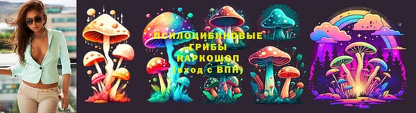 прущая мука Арсеньев
