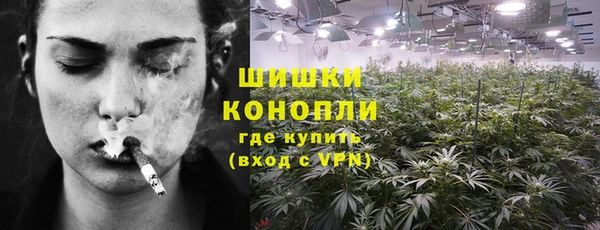 spice Аркадак