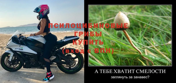 mdma Пестово