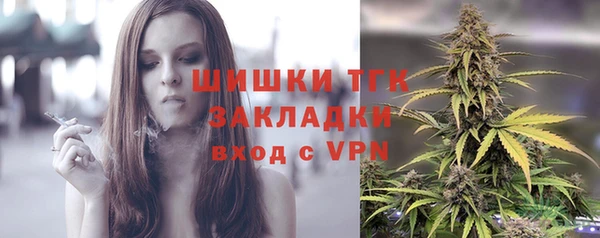 spice Аркадак