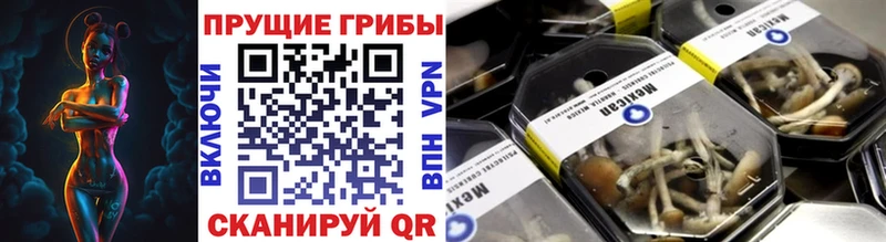 Псилоцибиновые грибы мицелий как найти наркотики Радужный